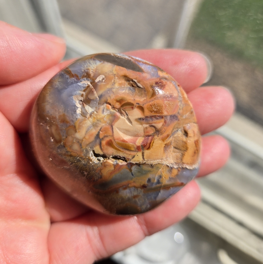 Ibis Jasper Palm Stone